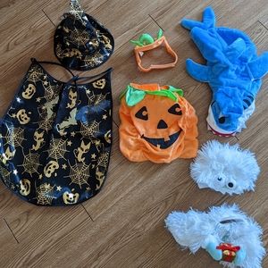 Cat or small dog Halloween costumes